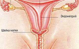 Что такое менструальный цикл, какие патологии бывают