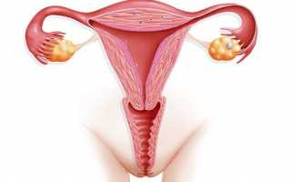 Самодиагностика матки перед менструацией