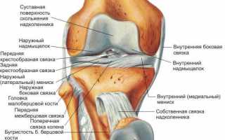 Эффективное лечение коленных суставов народными средствами