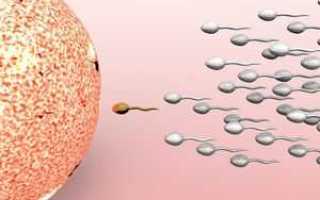 Что значит жидкая сперма – почему семя жидкое как вода