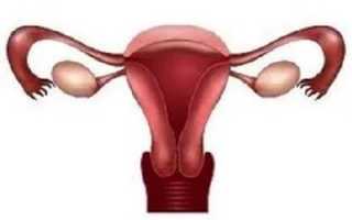 Особенности эндометрия матки при менопаузе, диагностика патологии