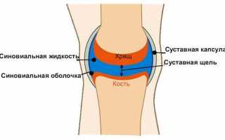 Жидкость в коленном суставе: функции и свойства