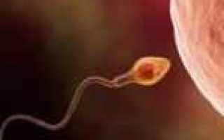 Вязкость спермы – какая норма, как снизить