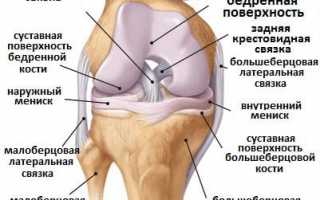 Лечение коленного сустава: основные болезни и методы терапии