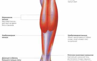 Что делать при растяжении мышц на ноге: симптомы травмирования, методики лечения