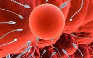 Чем полезна сперма – вредно ли глотать мужское семя